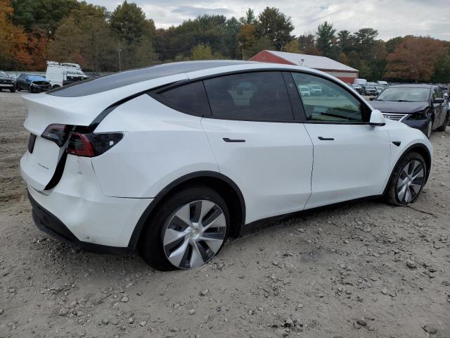 7SAYGDEE4PF837455 | 2023 TESLA MODEL Y