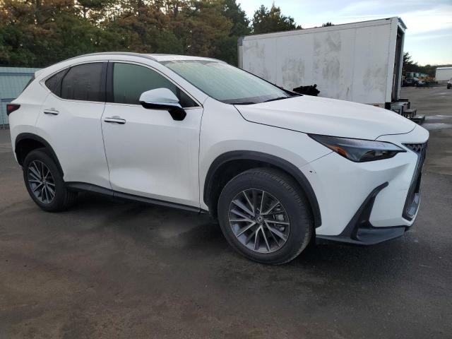2024 LEXUS NX 350 BAS 2T2AGCEZ6RC034080