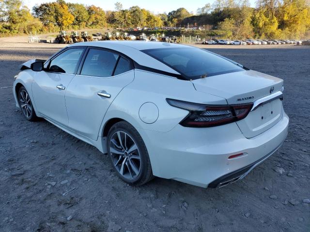  NISSAN MAXIMA 2023 Білий