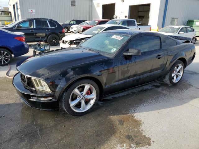 2009 Ford Mustang VIN: 1ZVHT80N195117314 Lot: 73148593