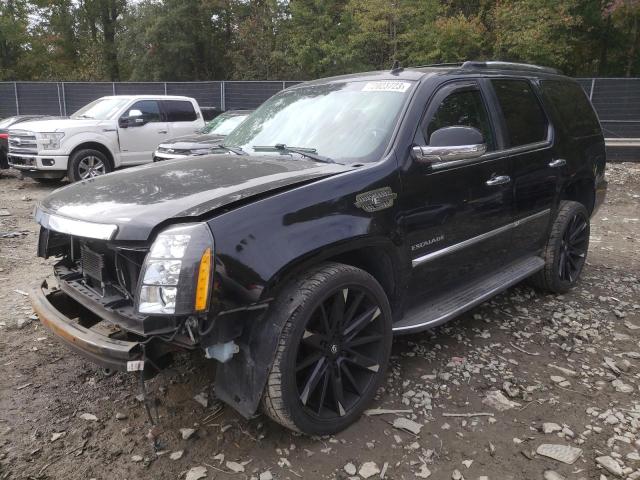 2010 Cadillac Escalade 