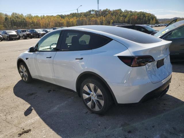 7SAYGDEE8PF668783 | 2023 TESLA MODEL Y