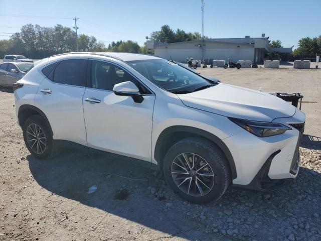 JTJADCEZ7N5000392 | 2022 LEXUS NX 250