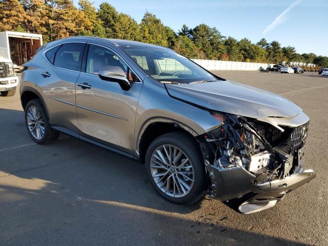 2024 LEXUS NX 350 LUX 2T2HGCEZ5RC040113