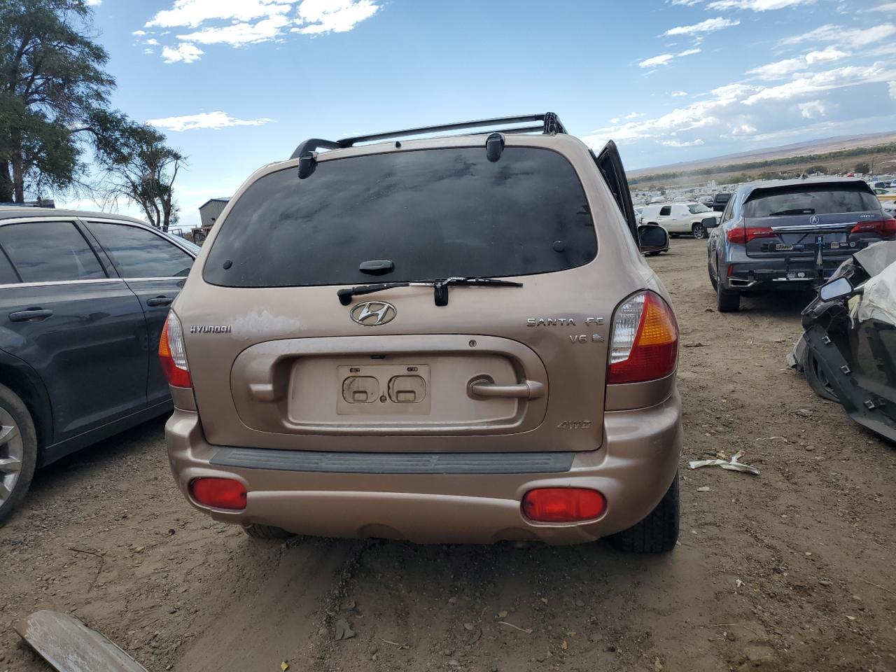 KM8SC73D24U643886 2004 Hyundai Santa Fe Gls