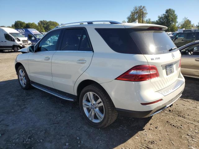 VIN 4JGDA5HB4DA221159 2013 Mercedes-Benz ML-Class, ... no.2