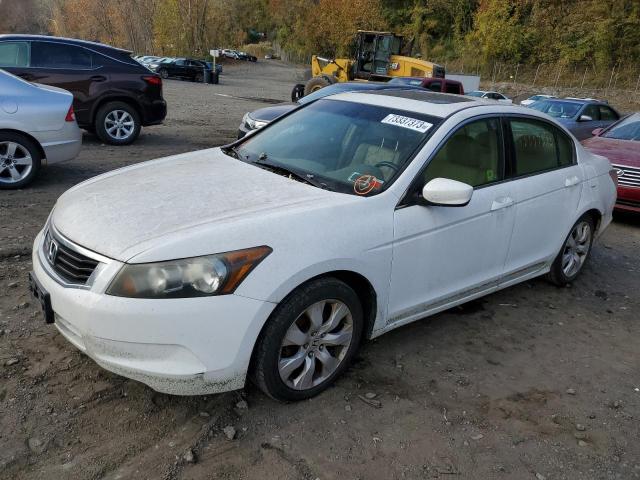 2009 Honda Accord Coupe EX-L