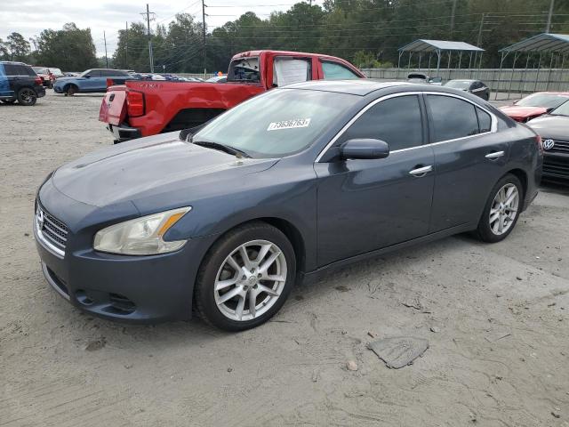 Nissan maxima Grey