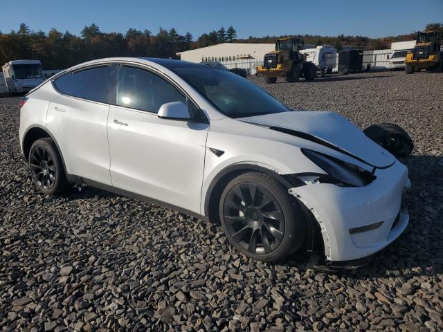 7SAYGDEE3PF746127 | 2023 TESLA MODEL Y