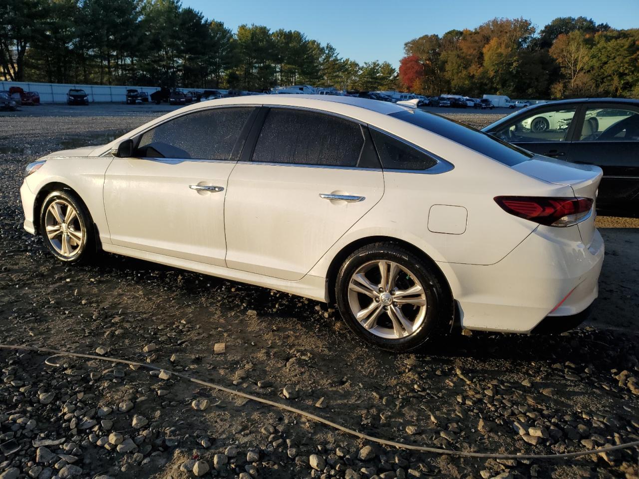 Lot #3037031724 2018 HYUNDAI SONATA SPO