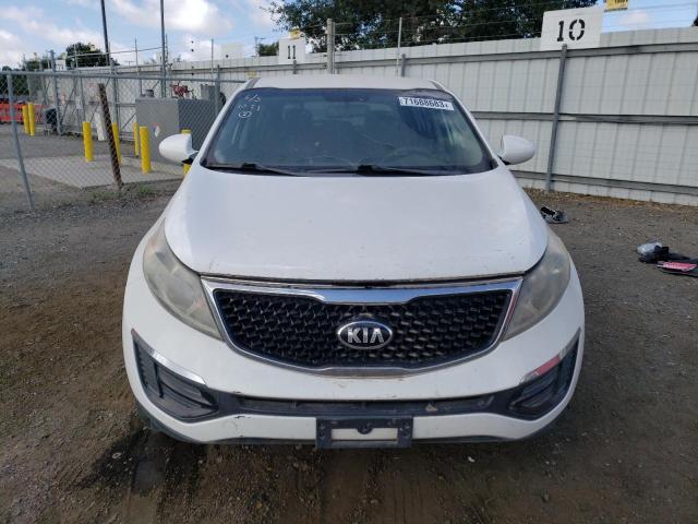 KNDPB3ACXE7589804 | 2014 KIA SPORTAGE B