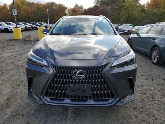 2T2AGCEZ2NC009008 Lexus NX 350  5