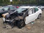 2020 TOYOTA CAMRY LE - 4T1C11AK4LU892956