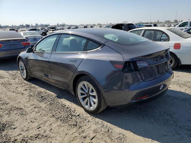 5YJ3E1EA1PF513260 | 2023 TESLA MODEL 3