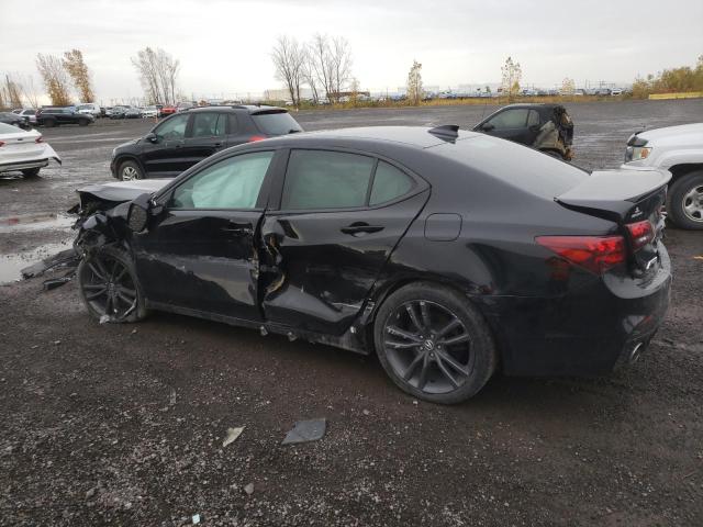 2019 ACURA TLX ADVANC 19UUB3F87KA800075