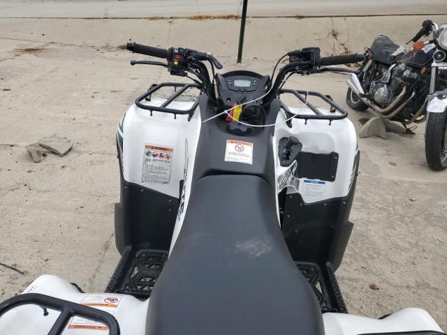 2023 KAWASAKI KVF300 C - RGSWM22A2PBK34998