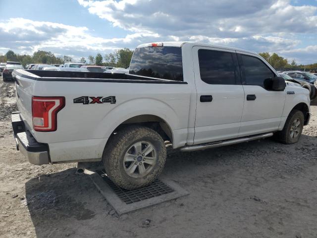 1FTEW1E84GFA15245 Ford F150 Supercrew