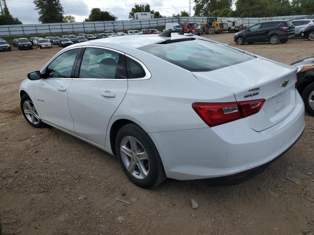 1G1ZB5STXKF228439 | 2019 CHEVROLET MALIBU LS