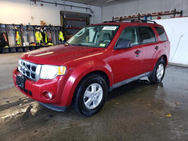 2009 Ford Escape XLT