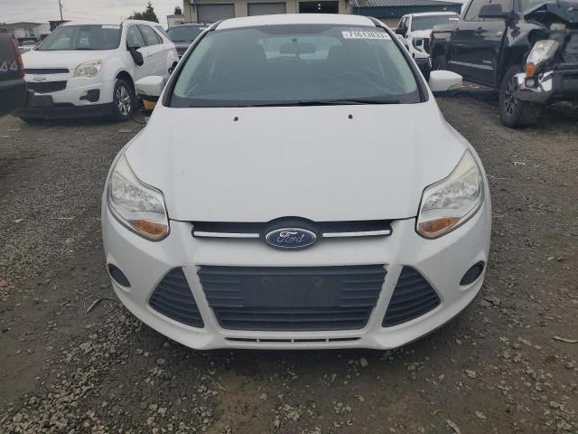 Хетчбеки FORD FOCUS 2014 Білий