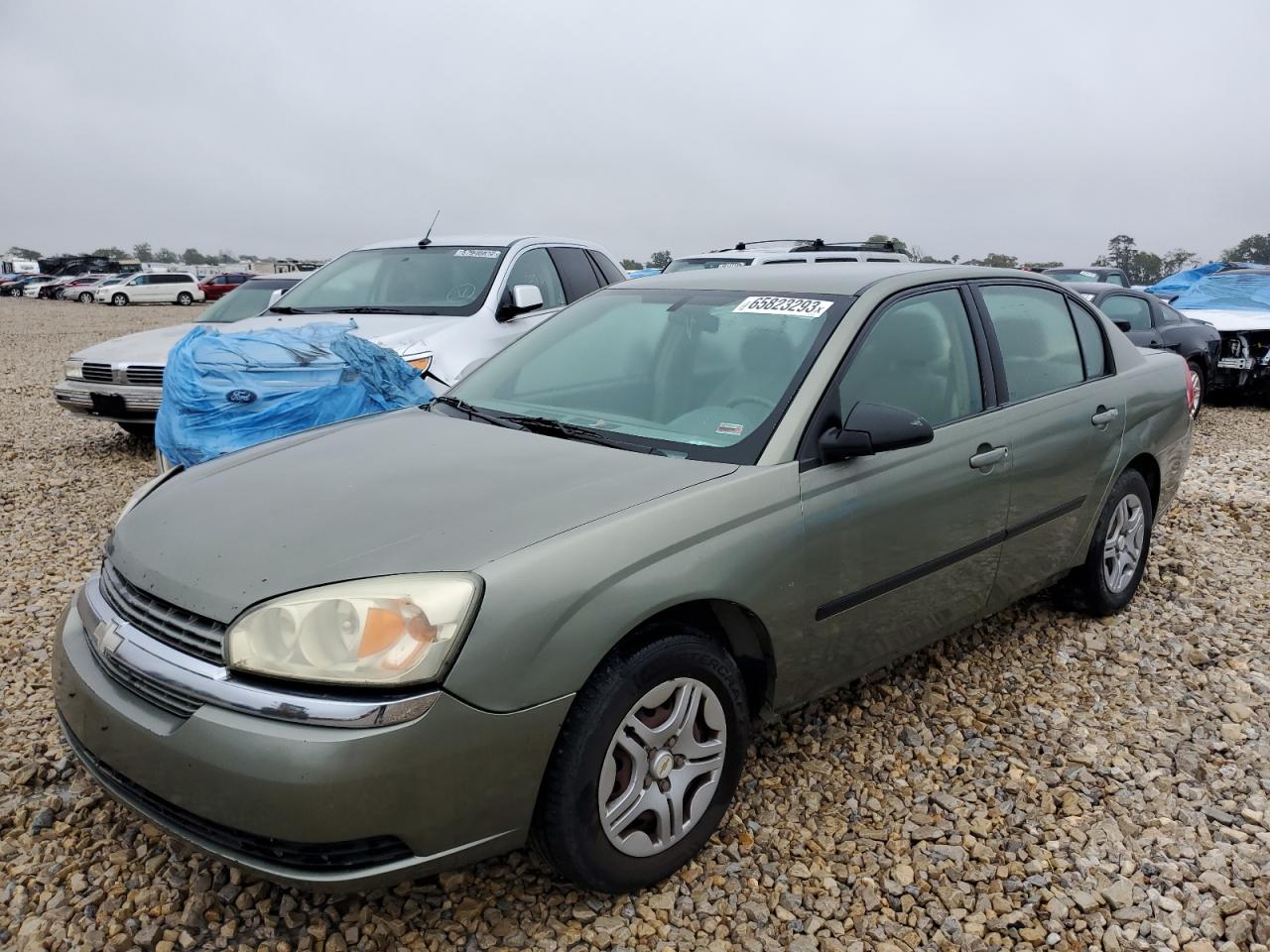 Lot #2720715046 2004 CHEVROLET MALIBU