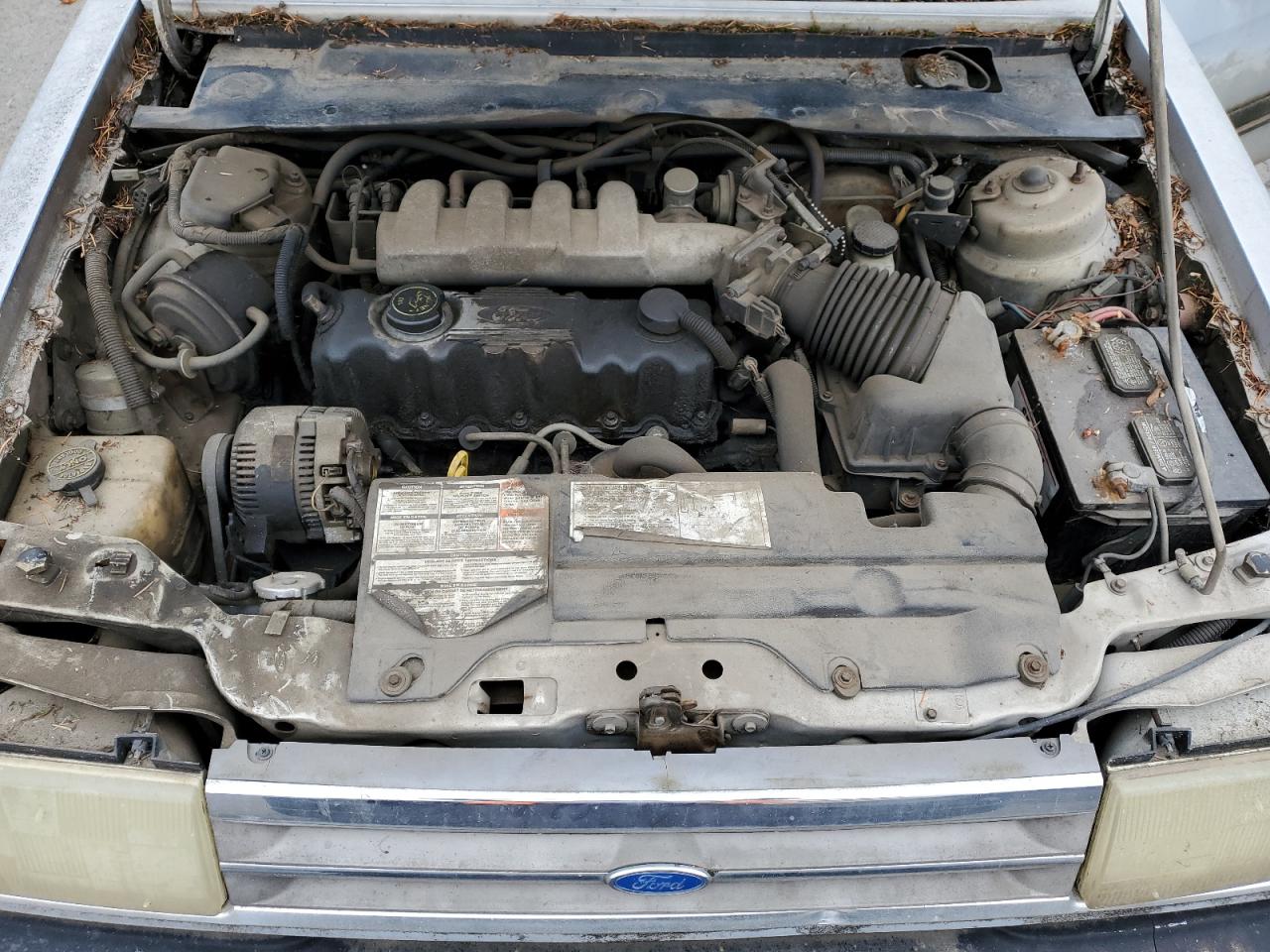 1FAPP36X7MK147805 1991 Ford Tempo Gl 1FAPP36X7MK147805 1991 Ford Tempo Gl