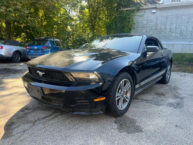 2011 Ford Mustang VIN: 1ZVBP8EM4B5101219 Lot: 72100013