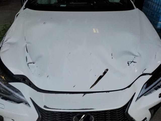 2024 LEXUS NX 350 LUX - 2T2KGCEZ2RC038907