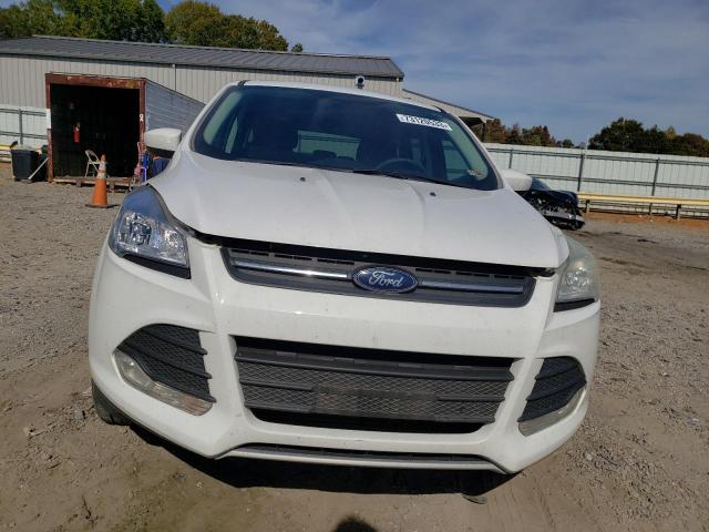 2014 Ford Escape Se VIN: 1FMCU0G95EUD45316 Lot: 73120533