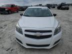 Lot #3033088000 2013 CHEVROLET MALIBU LS