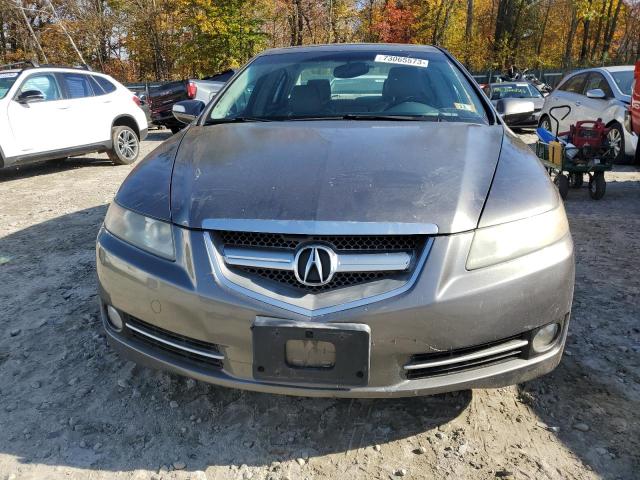 2008 Acura Tl VIN: 19UUA66258A012307 Lot: 56815234