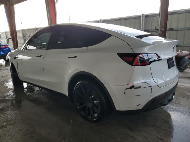 5YJYGDEE6MF062021 Tesla Model Y