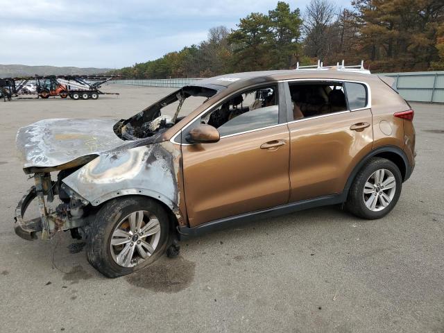 Vin: kndpmcac6h7115458, lot: 73687943, kia sportage lx 2017 img_1