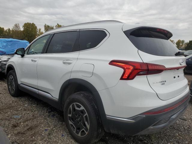 2023 HYUNDAI SANTA FE B 5NMS2DA11PH008734