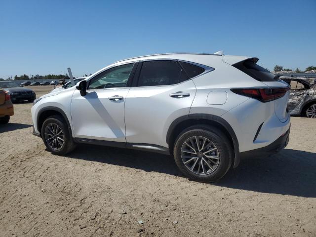 2024 LEXUS NX 250 BAS JTJADCAZ6R5013811