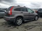 Lot #3025984946 2010 HONDA CR-V EX