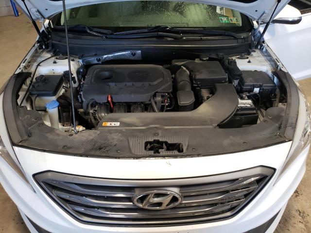 5NPE34AF7GH303801 | 2016 Hyundai sonata sport