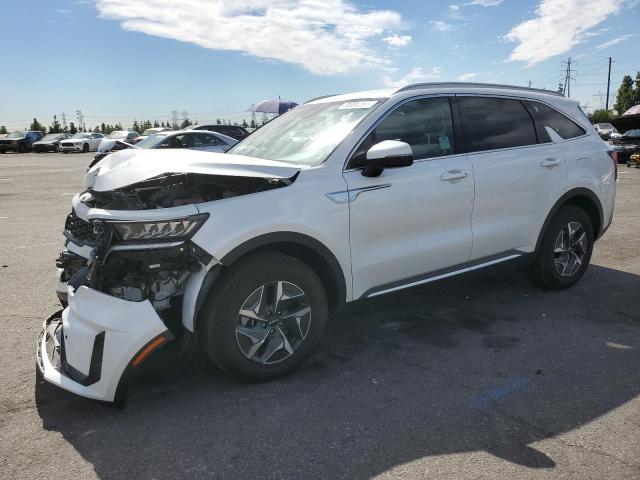  KIA SORENTO 2023 Білий