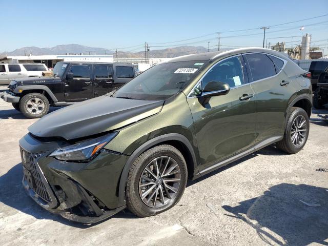 2024 Lexus NX 