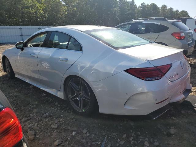 2019 MERCEDES-BENZ CLS 450 4M - WDD2J5KB7KA013512