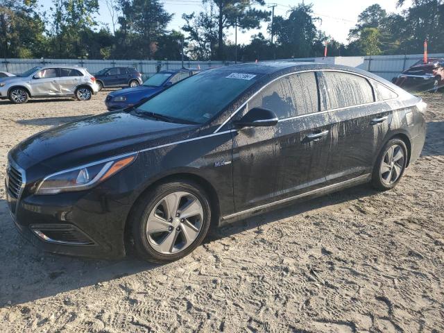 KMHE34L31HA067623 | 2017 Hyundai sonata hybrid