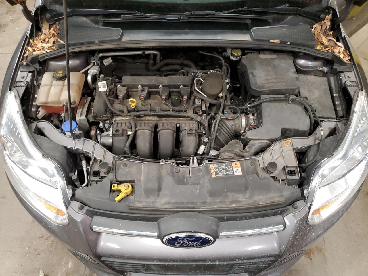 1FADP3F24EL413560 2014 Ford Focus Se 1FADP3F24EL413560 2014 Ford Focus Se