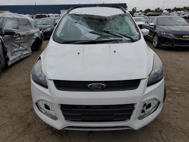 1FMCU0GX0EUB34572 | 2014 Ford escape se