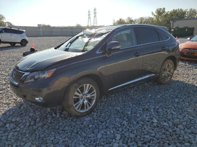 2010 Lexus RX 