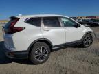 HONDA CR-V EX photo