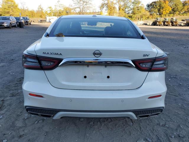  NISSAN MAXIMA 2023 Білий
