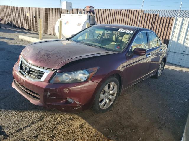 2009 Honda Accord Coupe EX-L