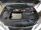 LEXUS RX 350 photo