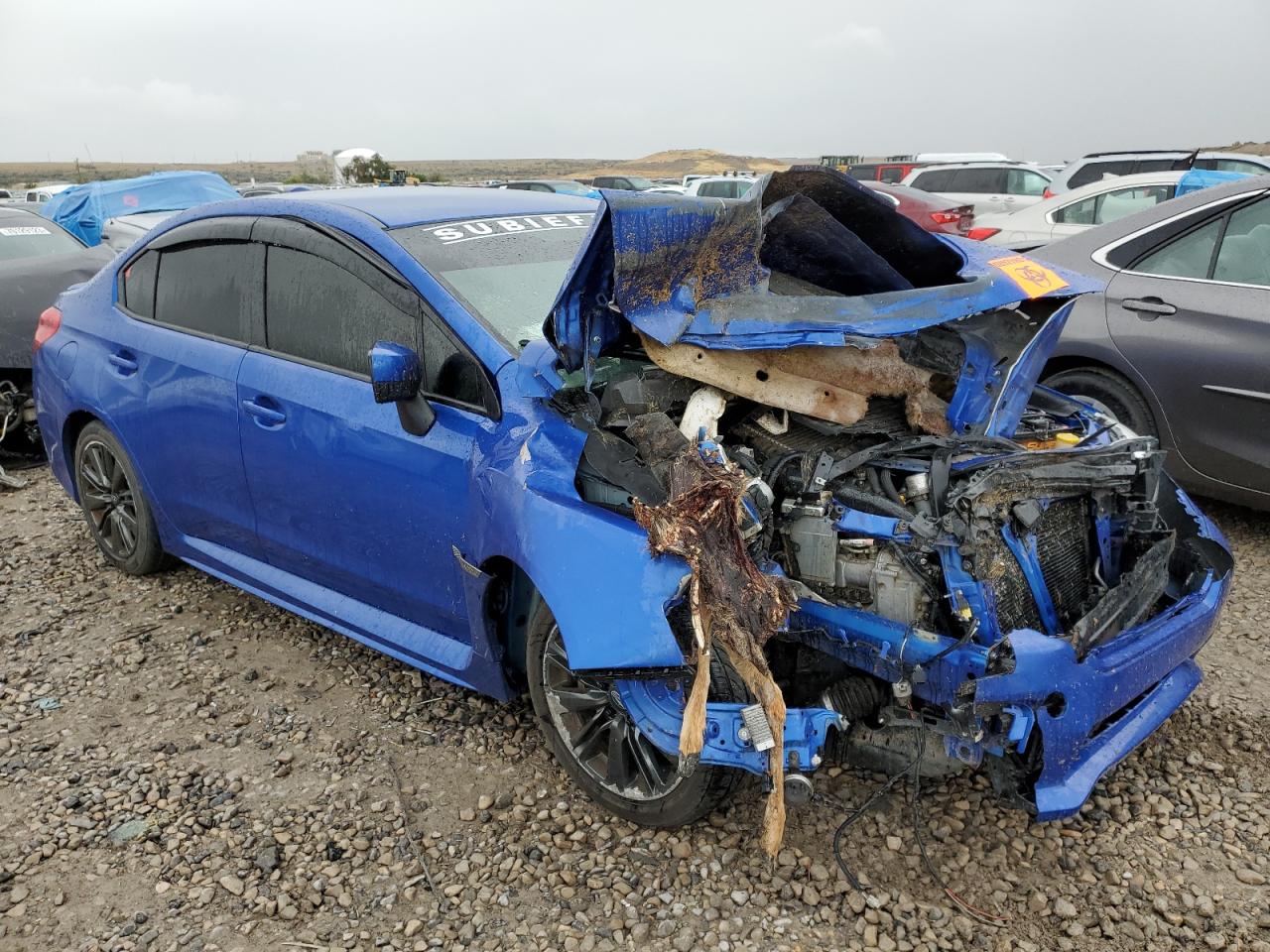 JF1VA1B67H9833933 2017 Subaru Wrx