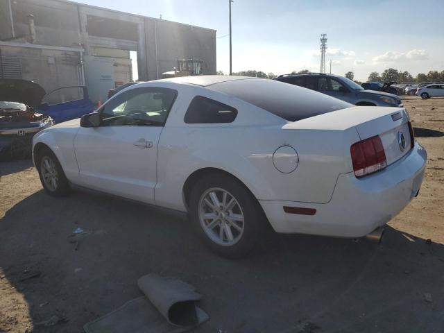 1ZVFT80N255179953 | 2005 Ford mustang